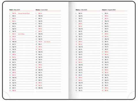Ежедневник датированный 2025 А5 138x213 мм BRAUBERG "Rainbow", под кожу, розовый, 115802