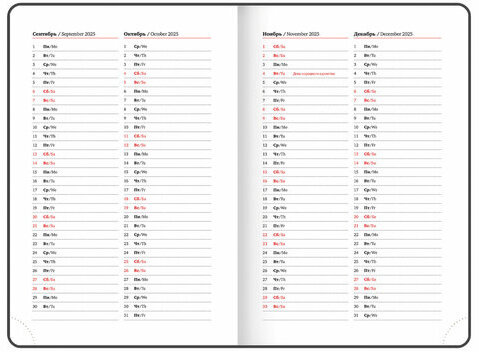 Ежедневник датированный 2025 А5 138x213 мм BRAUBERG "Rainbow", под кожу, розовый, 115802