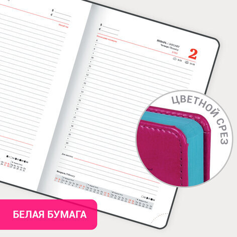 Ежедневник датированный 2025 А5 138x213 мм BRAUBERG "Rainbow", под кожу, розовый, 115802