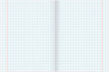 Тетрадь 24 л. BRAUBERG, клетка, обложка картон, СРЕДИ ЦВЕТОВ, 403006