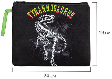 Папка для тетрадей BRAUBERG А5, 1 отделение, полиэстер, на молнии, с ручкой, "Tyrannosaur", 272203