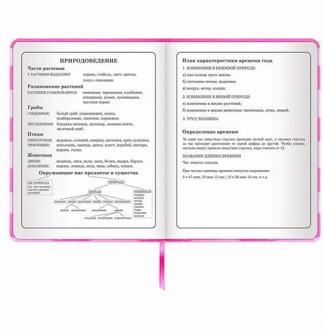 Дневник 1-4 класс 48 л., кожзам (твердая с поролоном), печать, аппликация, ЮНЛАНДИЯ, "АВАКОТ", 105938