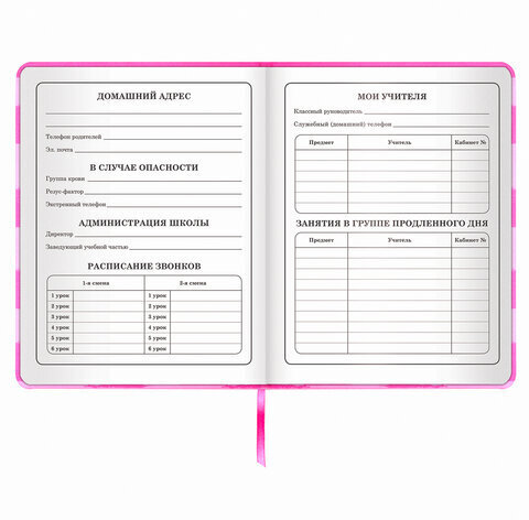 Дневник 1-4 класс 48 л., кожзам (твердая с поролоном), печать, аппликация, ЮНЛАНДИЯ, "АВАКОТ", 105938