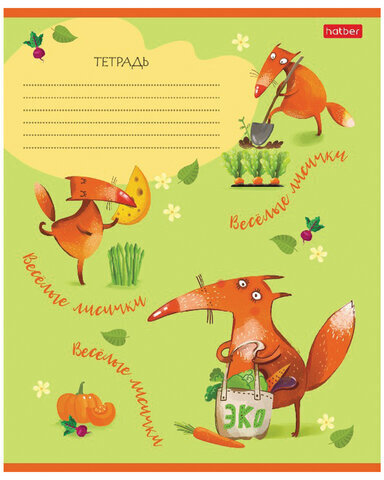 Тетрадь 18 л. HATBER клетка, обложка картон, "Fox Rules" (5 видов в спайке), 18Т5В1