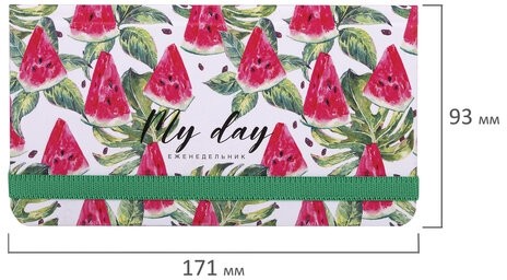 Еженедельник недатированный с резинкой (171х93 мм), BRAUBERG, твердый, УФ-ЛАК, 64 л., "Watermelon", 114577