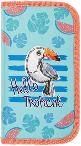 Пенал ПИФАГОР, 2 отделения, ламинированный картон, 19х11 см, "Tropical", 270168